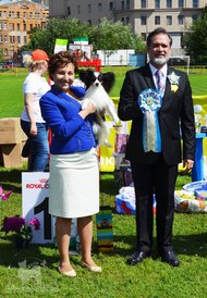 13728959_632258056930760_8496026246722428607_n.jpg (123.42 КБ, Просмотров: 7988) 13728959_632258056930760_8496026246722428607_n.jpg