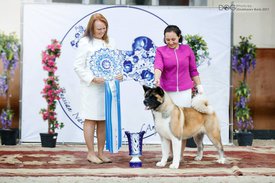 22310253_1580558945320563_1069023713613382181_n.jpg (83.57 КБ, Просмотров: 7988) 22310253_1580558945320563_1069023713613382181_n.jpg