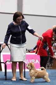 23658840_1616833568359767_6529501842790970705_n.jpg (56.18 КБ, Просмотров: 7987) 23658840_1616833568359767_6529501842790970705_n.jpg