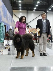 28276572_1826902257354016_6768352396355273332_n.jpg (84.36 КБ, Просмотров: 7988) 28276572_1826902257354016_6768352396355273332_n.jpg