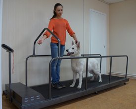 4 - копия.jpg (366.55 КБ, Просмотров: 4952) 4 - копия.jpg