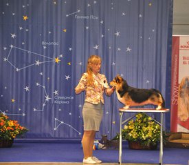 IMG-20180502-WA0017.jpg (147.19 КБ, Просмотров: 8038) IMG-20180502-WA0017.jpg