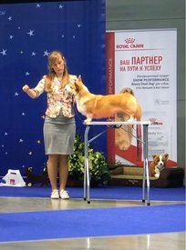 IMG-20180502-WA0021.jpg (80.81 КБ, Просмотров: 8036) IMG-20180502-WA0021.jpg