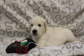 4658810094.jpg (142.66 КБ, Просмотров: 1607) 4658810094.jpg