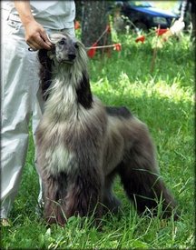 getImagкася.jpg (49.09 КБ, Просмотров: 1407) getImagкася.jpg