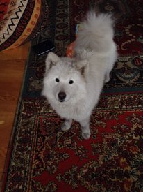 89dfjRAQAsU.jpg (68.24 КБ, Просмотров: 3106) 89dfjRAQAsU.jpg