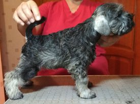 6. кабель Первый Валиант Кнайп фото.jpg (230.31 КБ, Просмотров: 1743) 6. кабель Первый Валиант Кнайп фото.jpg