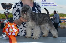 8. мама.jpg (203.9 КБ, Просмотров: 1743) 8. мама.jpg