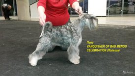 9. папа.jpg (183.97 КБ, Просмотров: 1743) 9. папа.jpg