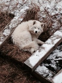 lPpa-7Qvxsg.jpg (84.78 КБ, Просмотров: 3106) lPpa-7Qvxsg.jpg