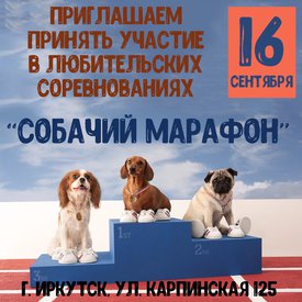 соревнования.jpg (215.28 КБ, Просмотров: 3472) соревнования.jpg