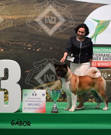 19397054_1459060367470422_7881238616531416842_n.jpg (83.63 КБ, Просмотров: 11527) 19397054_1459060367470422_7881238616531416842_n.jpg