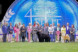 20374531_2007886019237572_7179314412167715705_n.jpg (130.09 КБ, Просмотров: 11524) 20374531_2007886019237572_7179314412167715705_n.jpg