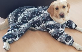 20180908_131223.jpg (213.54 КБ, Просмотров: 4580) 20180908_131223.jpg