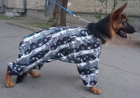 20180908_131244.jpg (215.59 КБ, Просмотров: 4476) 20180908_131244.jpg