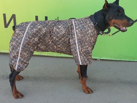 20180908_131457.jpg (195.18 КБ, Просмотров: 4475) 20180908_131457.jpg