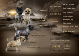 2-1-4.jpg (773.78 КБ, Просмотров: 3395) 2-1-4.jpg