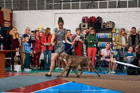 FB_IMG_1537057460287.jpg (100.35 КБ, Просмотров: 6437) FB_IMG_1537057460287.jpg