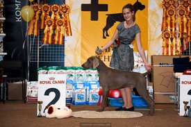 FB_IMG_1537057630064.jpg (111.35 КБ, Просмотров: 6437) FB_IMG_1537057630064.jpg