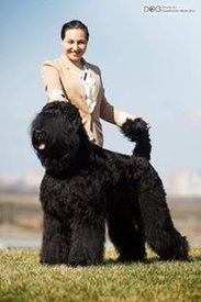 13502084_878644258910855_1349977071705981017_n.jpg (12.13 КБ, Просмотров: 7429) 13502084_878644258910855_1349977071705981017_n.jpg