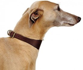 ф1.jpg (73.72 КБ, Просмотров: 4258) ф1.jpg