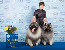 WEB Ангарск  11.03.2017-0697.jpg (613.91 КБ, Просмотров: 5365) WEB Ангарск  11.03.2017-0697.jpg