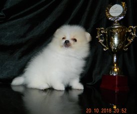 м шаман3.jpg (128.83 КБ, Просмотров: 2184) м шаман3.jpg