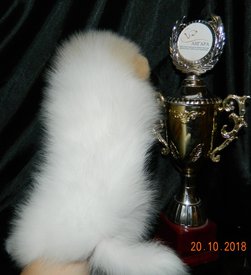 м шаман4.jpg (123.64 КБ, Просмотров: 2572) м шаман4.jpg