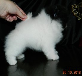 м штурман4.jpg (98.98 КБ, Просмотров: 2268) м штурман4.jpg