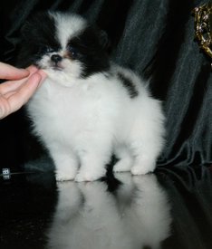 м штурман.jpg (61.6 КБ, Просмотров: 2267) м штурман.jpg