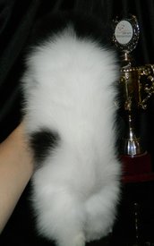 м штурман окрас.jpg (66.29 КБ, Просмотров: 2183) м штурман окрас.jpg