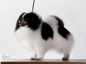 fg9vRD1D7p0.jpg (127.28 КБ, Просмотров: 2266) fg9vRD1D7p0.jpg