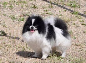 jJv7aAOGVgg.jpg (64.32 КБ, Просмотров: 2182) jJv7aAOGVgg.jpg