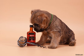 IMG_0181.jpg (150.25 КБ, Просмотров: 3254) IMG_0181.jpg