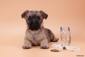 IMG_0080.jpg (128.97 КБ, Просмотров: 3260) IMG_0080.jpg