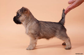 IMG_0102.jpg (140.11 КБ, Просмотров: 2978) IMG_0102.jpg