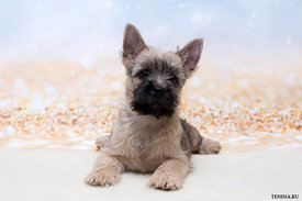 IMG_1854.jpg (148.65 КБ, Просмотров: 3125) IMG_1854.jpg