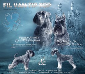 Гучи-Гвен.jpg (515.01 КБ, Просмотров: 4935) Гучи-Гвен.jpg