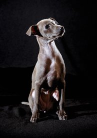 5434CF92-D110-4069-9FE8-FD5F9BE63E67.jpeg (241.69 КБ, Просмотров: 1256) 5434CF92-D110-4069-9FE8-FD5F9BE63E67.jpeg