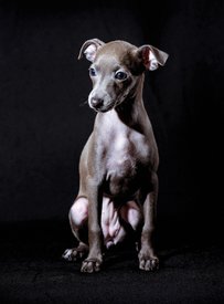 ACDA42E5-A12C-454B-8BA4-CD418323EA2D.jpeg (224.92 КБ, Просмотров: 1256) ACDA42E5-A12C-454B-8BA4-CD418323EA2D.jpeg