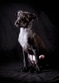 CF800A0E-34FF-4F26-9CFA-540884136BFB.jpeg (250.27 КБ, Просмотров: 1371) CF800A0E-34FF-4F26-9CFA-540884136BFB.jpeg