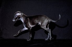 D1D42DCD-7377-4FAB-98CF-ACD5E943BF4A.jpeg (135.97 КБ, Просмотров: 1256) D1D42DCD-7377-4FAB-98CF-ACD5E943BF4A.jpeg