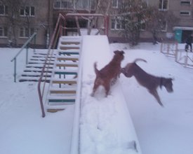 IMG693-01.jpg (294.89 КБ, Просмотров: 12946) IMG693-01.jpg