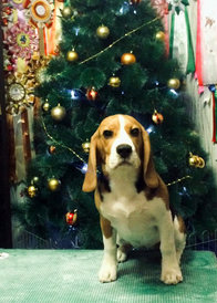 49039901_980780132106660_1638526540205522944_n.jpg (668.33 КБ, Просмотров: 2655) 49039901_980780132106660_1638526540205522944_n.jpg