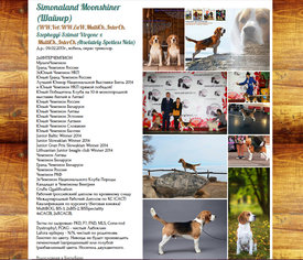 Шайнер.jpg (445.29 КБ, Просмотров: 2615) Шайнер.jpg