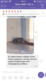 26C3607F-2A41-4EC5-8CC7-8BE1B4841C09.png (412.18 КБ, Просмотров: 3591) 26C3607F-2A41-4EC5-8CC7-8BE1B4841C09.png