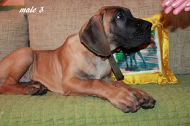 IMG-c37d018301f17e5f32cf7e958bd39f4c-V.jpg (217.8 КБ, Просмотров: 1607) IMG-c37d018301f17e5f32cf7e958bd39f4c-V.jpg