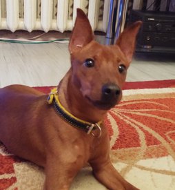 мастер 1.jpg (152.67 КБ, Просмотров: 14092) мастер 1.jpg