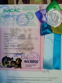 мастер 2.jpg (193.84 КБ, Просмотров: 13132) мастер 2.jpg