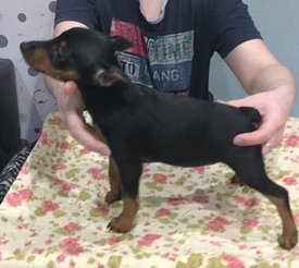 п 1.jpg (177.44 КБ, Просмотров: 13040) п 1.jpg